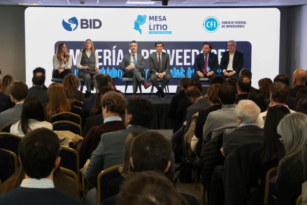 Gobernadores y proveedores debatieron sobre la importancia del litio para el desarrollo regional (1)