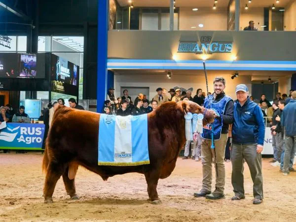 fue-gran-campeon-macho-colorado-en-la-ultima-EGXRIUQOGFDBLMVGX5DGHBN26A