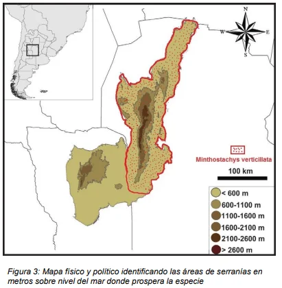 mapa-peperina-serrana