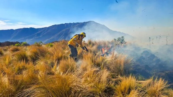 Actualización de incendios forestales en la provincia 1