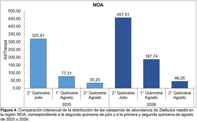 chicharrita-noa-anual-650x404-1
