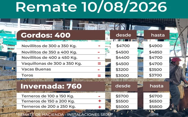ganaderia-remate-srjm-10-ago-650x404-1-2