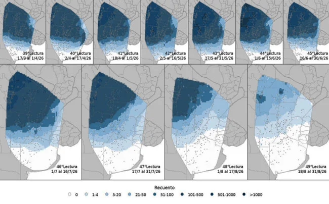 chicharrita-mapa-cobertura-650x404-1