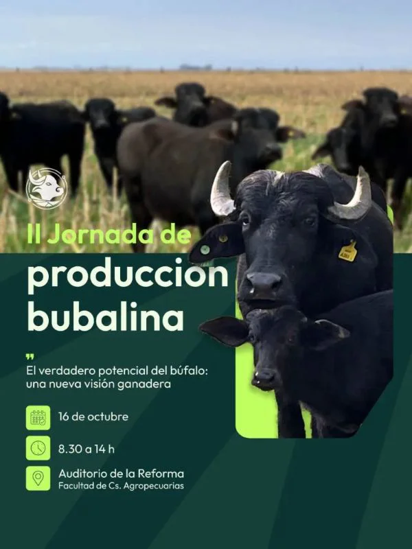 bufalos-flyer-768x1024