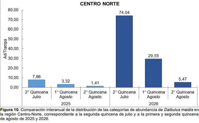 chicharrita-centro-norte-anual-650x404-1