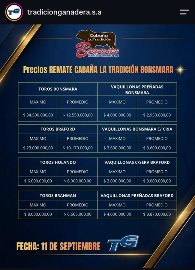 Bonsmara-Ceres-Sept2026-Precios