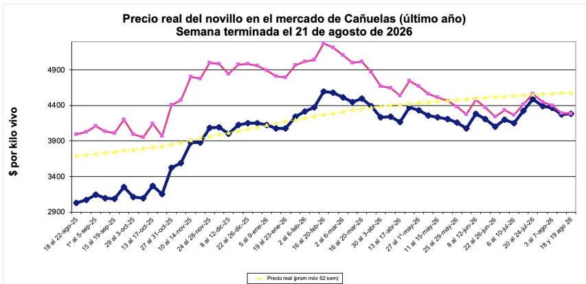 580-Canuelas-C