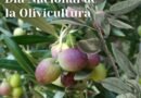 Día Nacional de la Olivicultura