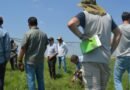 En Los Altos Aapresid combina el conocimiento científico con la  experiencia a campo