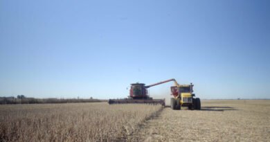 Mirgor Agro será parte de Expoagro por tercer año consecutivo