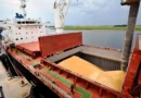 La agroindustria argentina exportó a más de 130 países