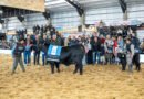 Brangus volvió a mostrar su potencial para producir carne en Argentina