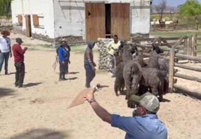 Martillero Diego Silva.