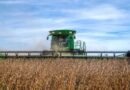 El campo apunta a una cosecha récord y se consolida como clave para la economía en 2026
