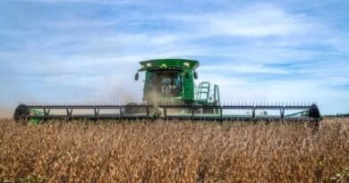 El campo apunta a una cosecha récord y se consolida como clave para la economía en 2026