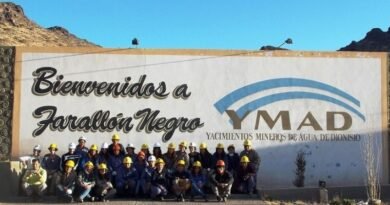 YMAD mantiene 31 vinculaciones académicas con estudiantes de universidades nacionales